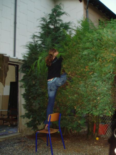 FrIsOu sTyLe